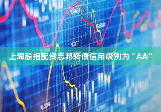 上海股指配资志邦转债信用级别为“AA”