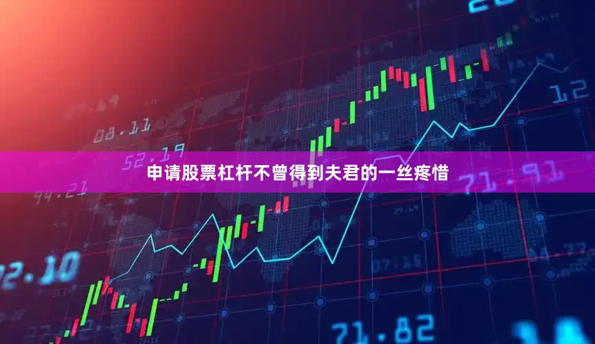 申请股票杠杆不曾得到夫君的一丝疼惜